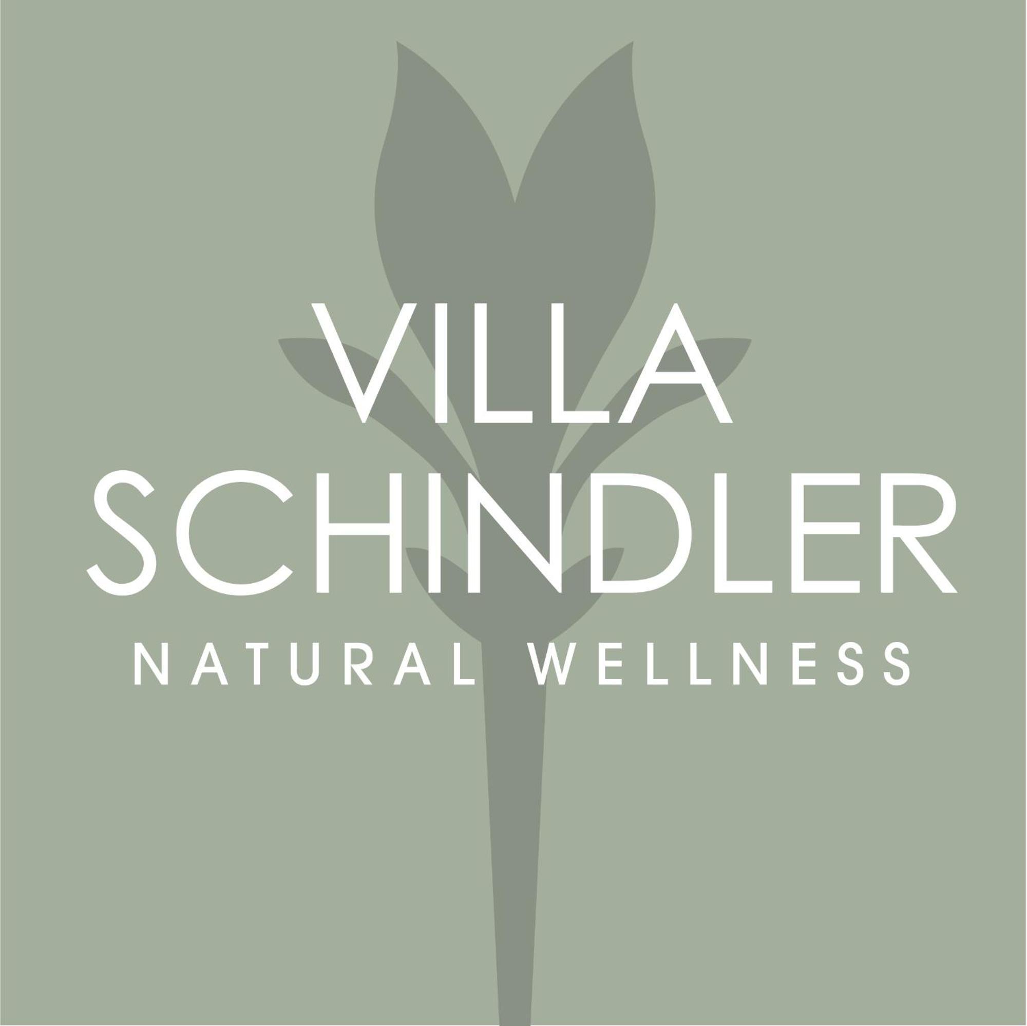 مانربا ديل جاردا Villa Schindler المظهر الخارجي الصورة